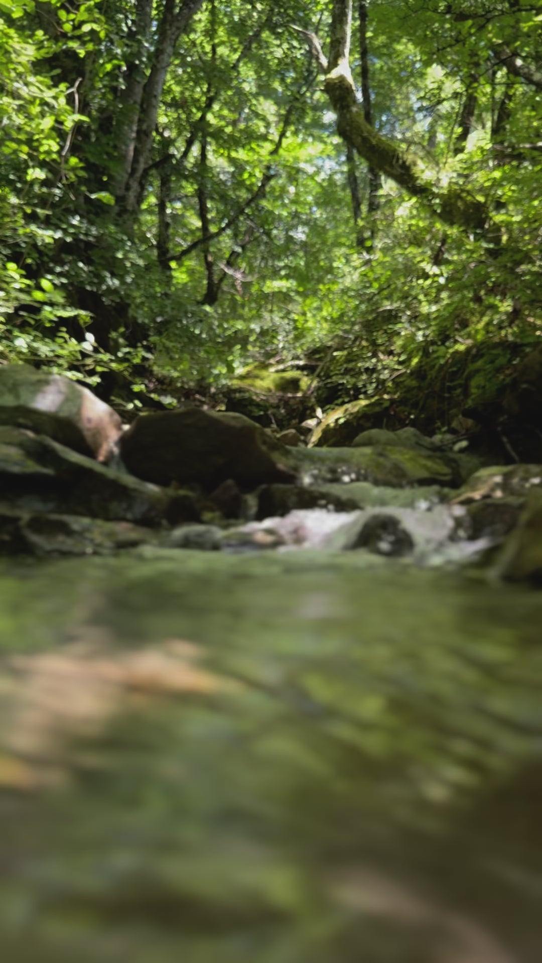 Serene river flowing through rocky terrain in Il Forno, Tuscany, capturing the essence of nature's tranquility